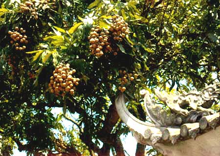 Phố Hiến